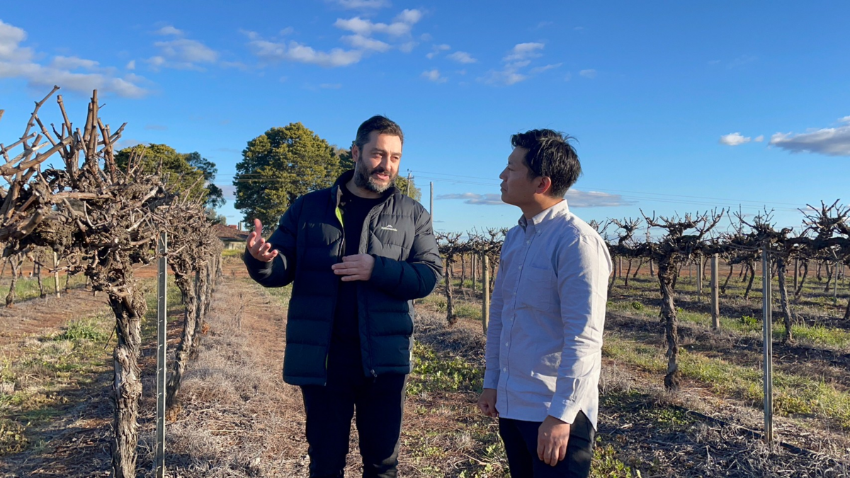 アメリカワイン(白赤)まとめ売り Amazon.co.jp: シックス・エイト・ナイン セラーズ【689 Cellars