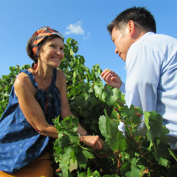 フランス ドメーヌ・ド・グールガゾー