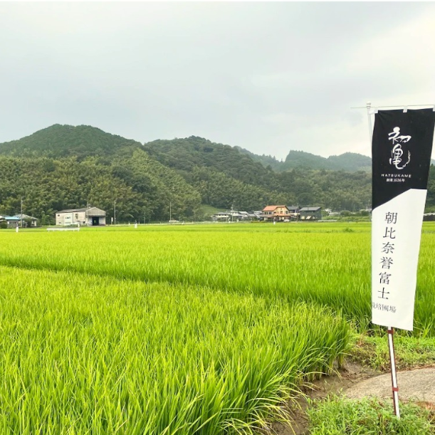 日本 初亀醸造(静岡県)