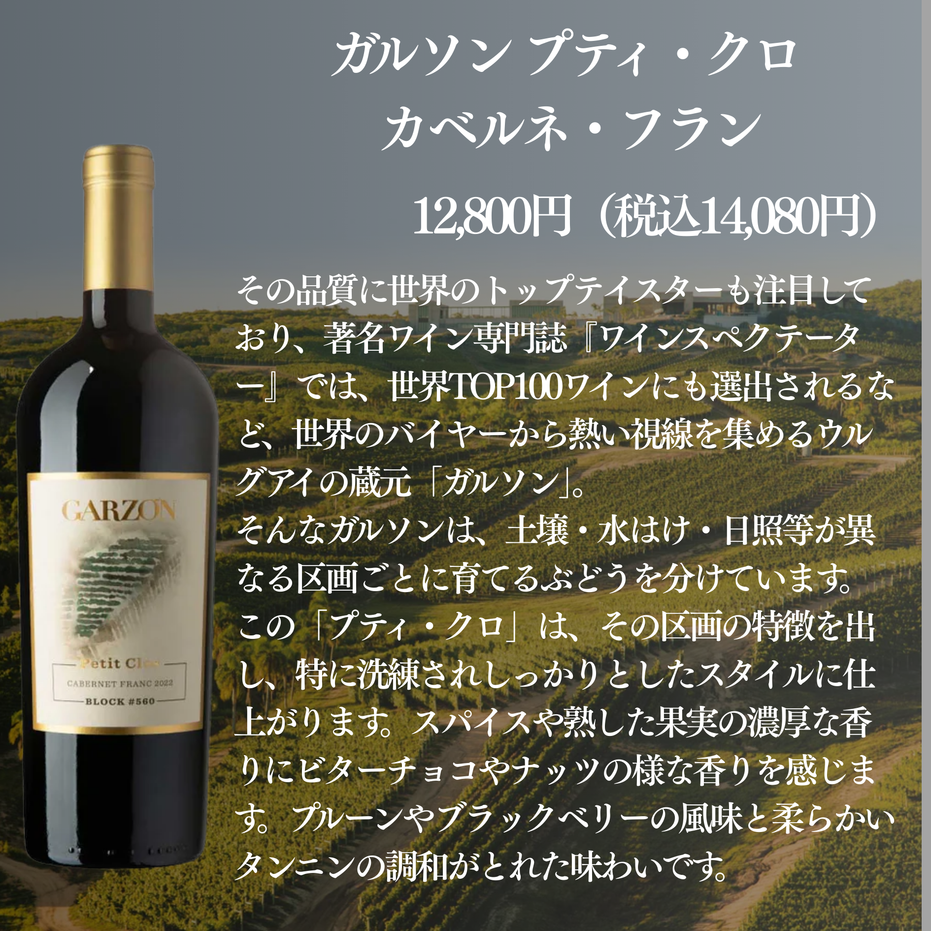 【10セットに1セットは当たりワイン入り!】蔵直ラッキーBOX 33,000円(赤3本)