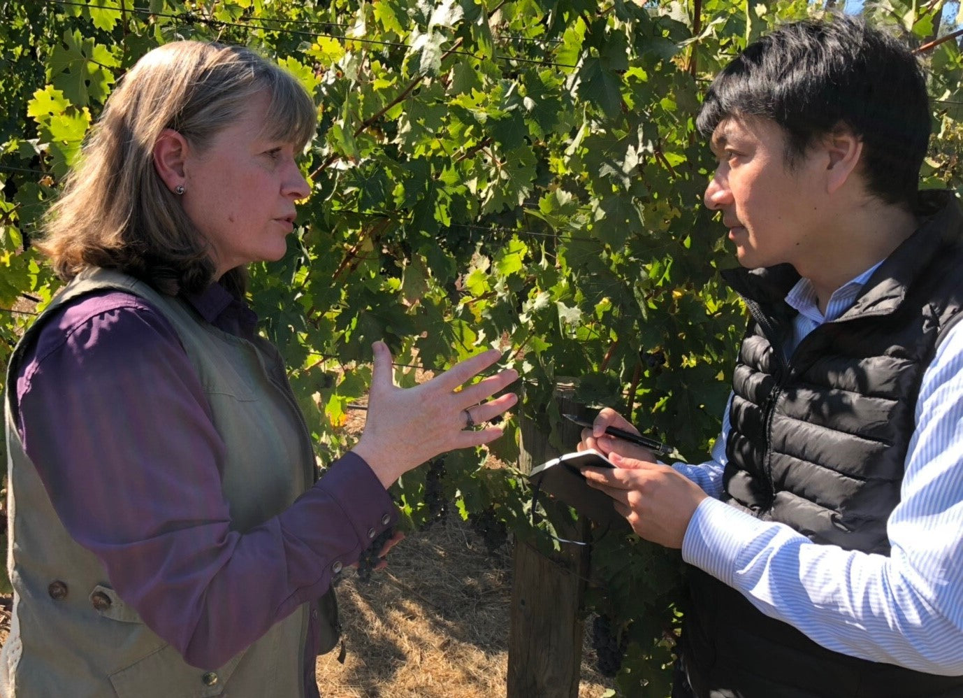 アメリカ ウォーターストーン・ワイナリー