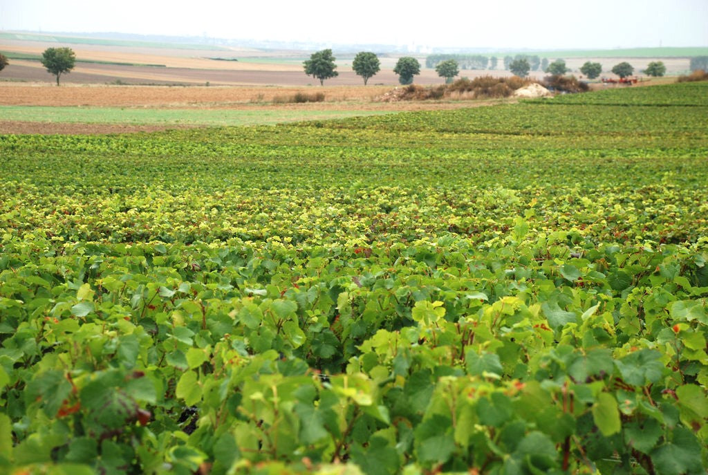 フランス モンマルト