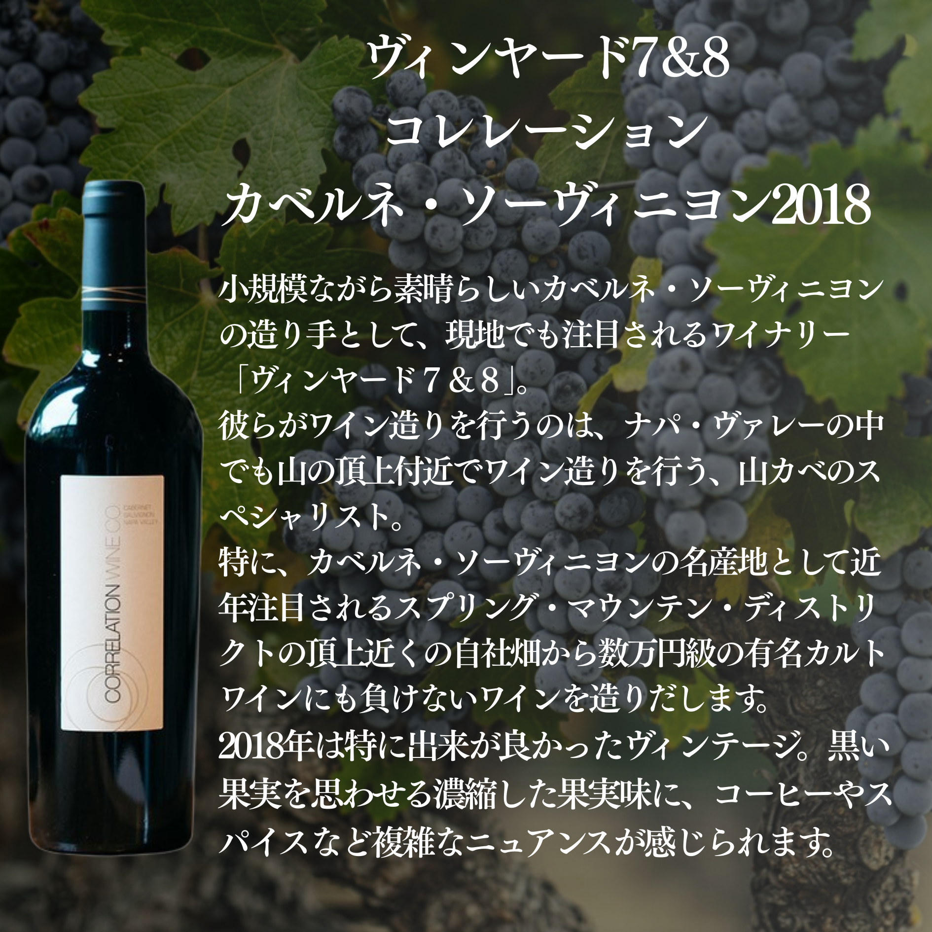 【10セットに1セットは当たりワイン入り!】蔵直ラッキーBOX 11,000円(赤1本白1本泡1本)