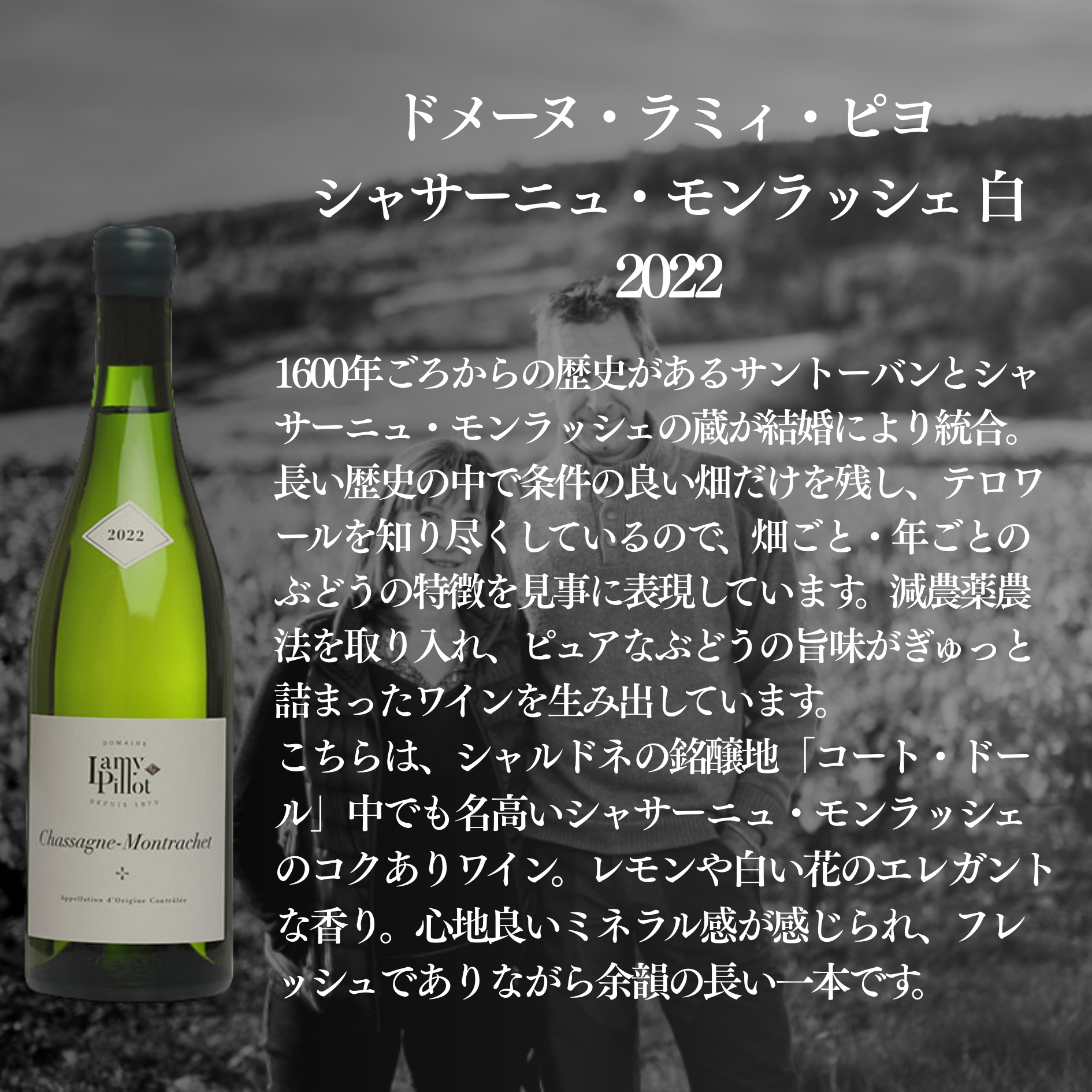 【10セットに1セットは当たりワイン入り!】蔵直ラッキーBOX 11,000円(赤1本白1本泡1本)