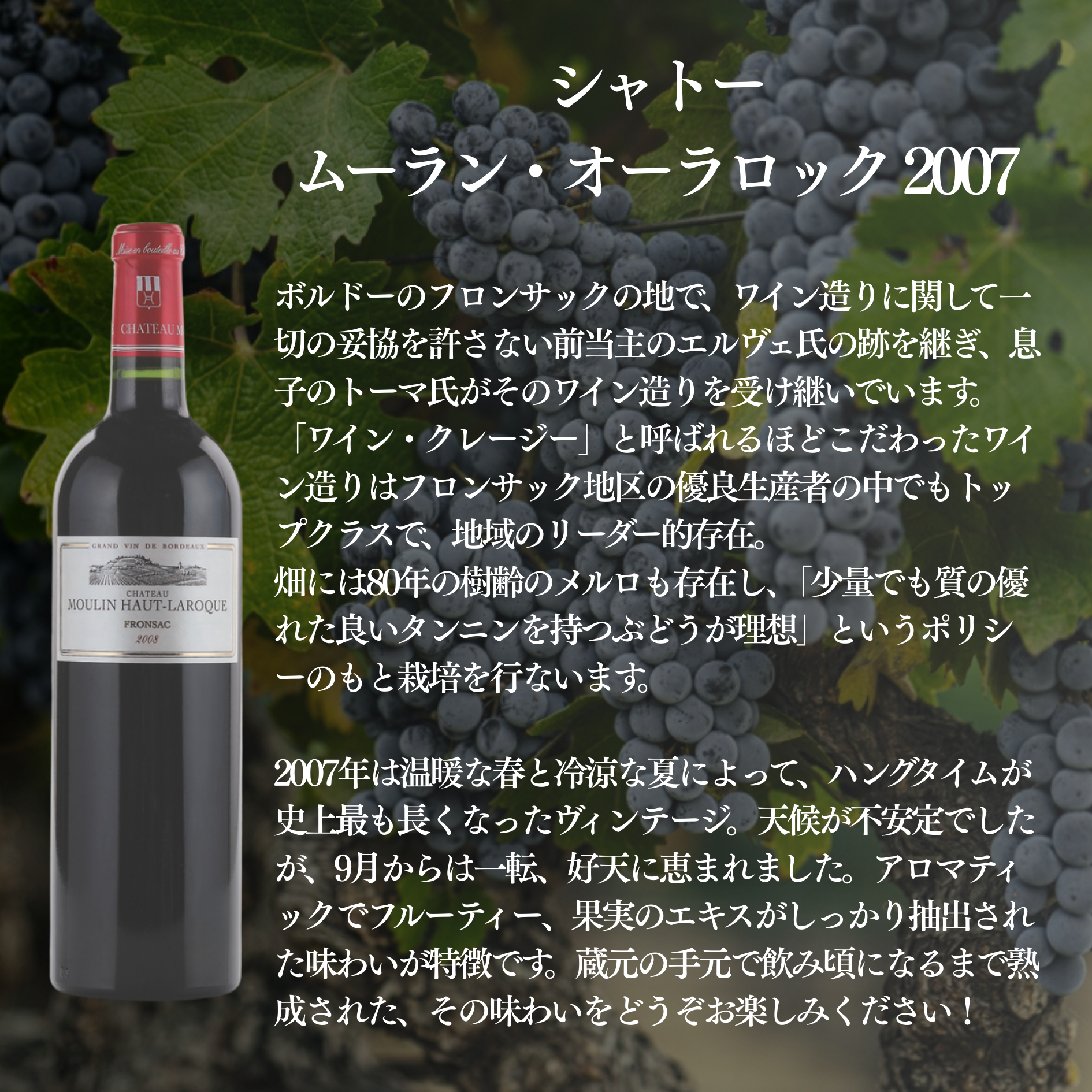 【10セットに1セットは当たりワイン入り!】蔵直ラッキーBOX 11,000円(赤1本白1本泡1本)