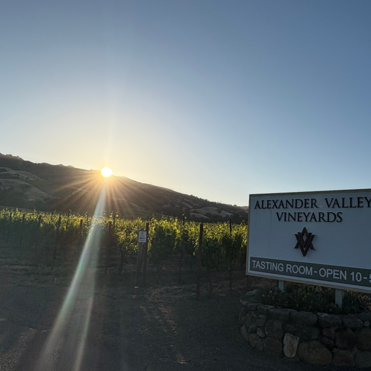 【WEB限定商品】アレクサンダー・ヴァレー ヴィンヤーズ メルロ