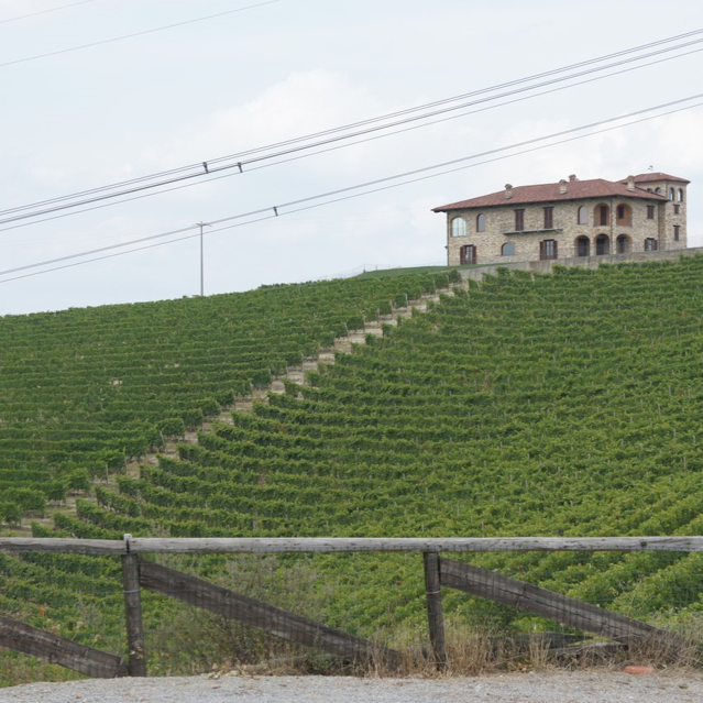 イタリア マンフレディ