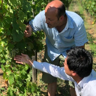 フランス ドメーヌ・エミール・ボエケル