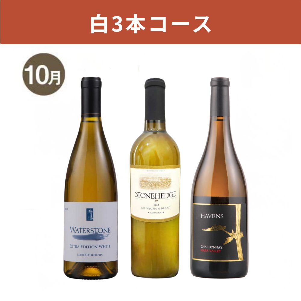 【WEB限定・3か月定期便】白3本コース_通常便