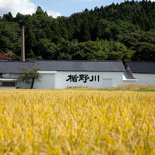 楯野川 純米大吟醸 渓流中取り720ml【要クール便】