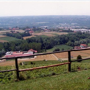 イタリア マンフレディ