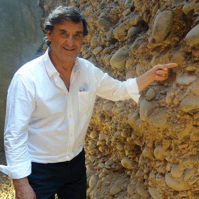 アルゼンチン カルロス・プレンタ・ワインズ