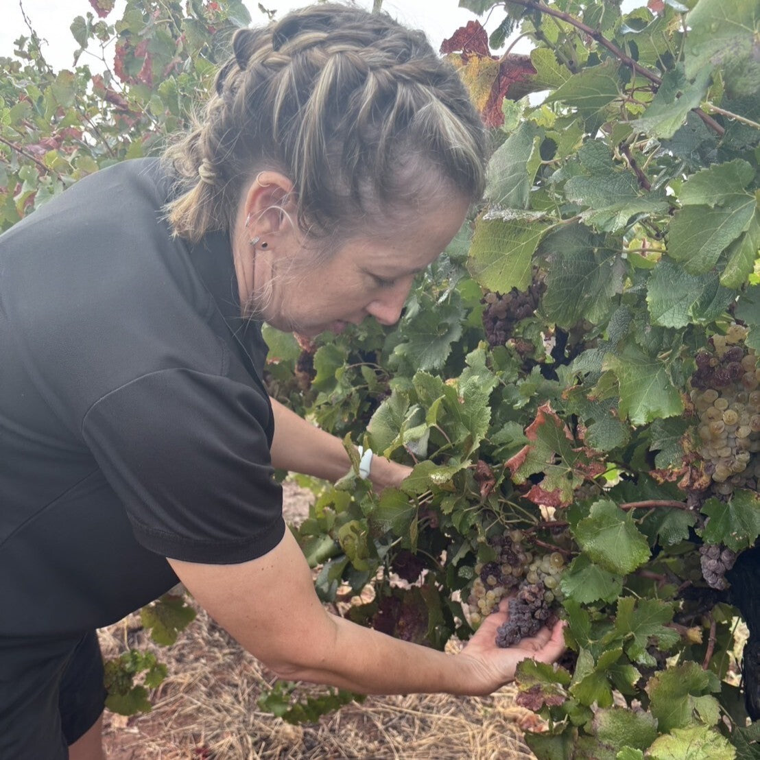 スリーブリッジズ 貴腐ワイン 375ml