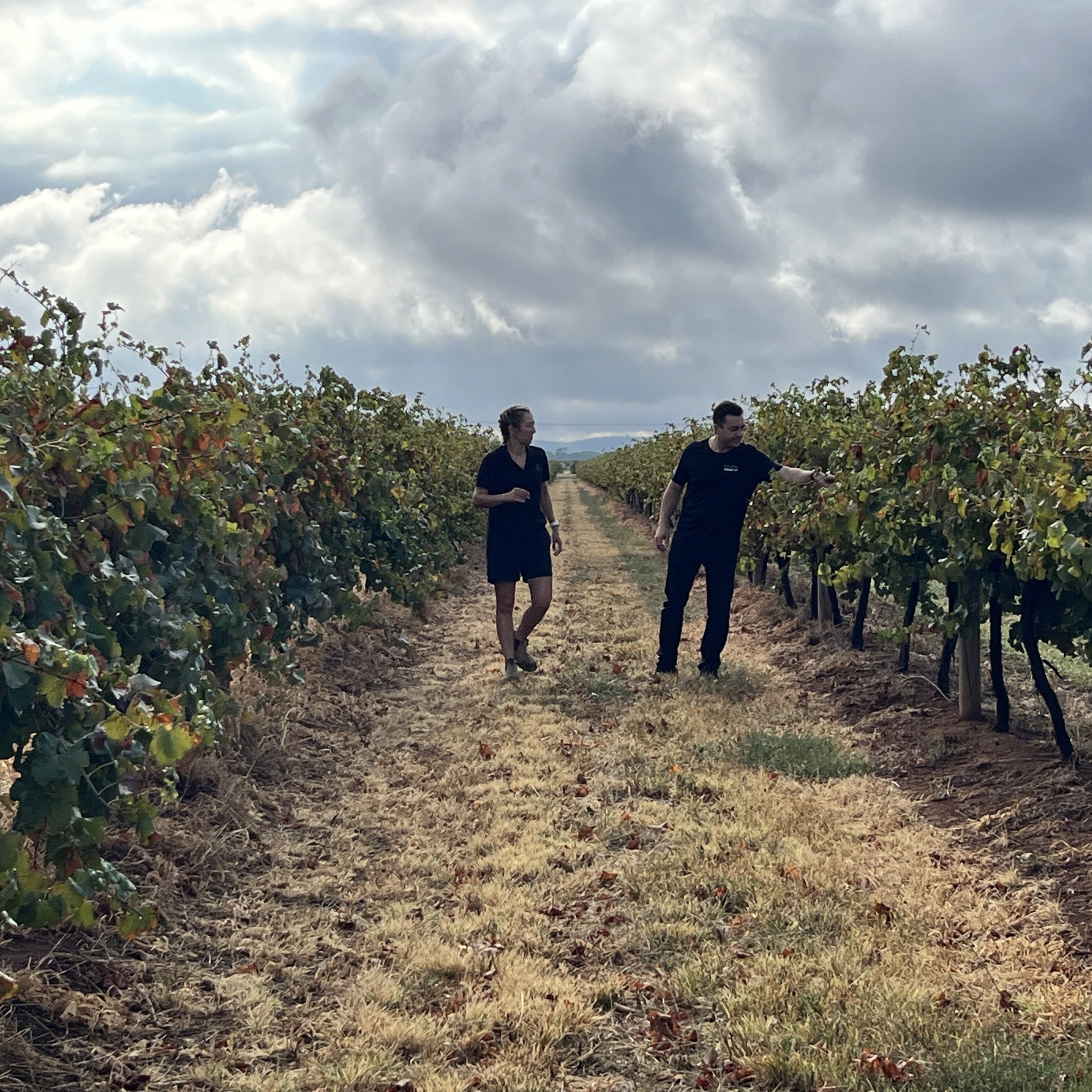 オーストラリア カラブリア・ファミリー・ワインズ