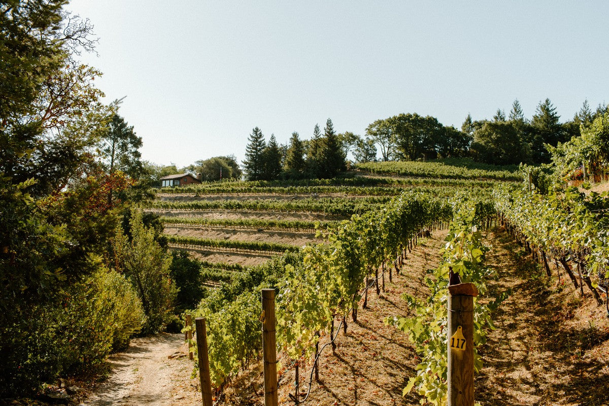 アメリカ ウォーターストーン・ワイナリー