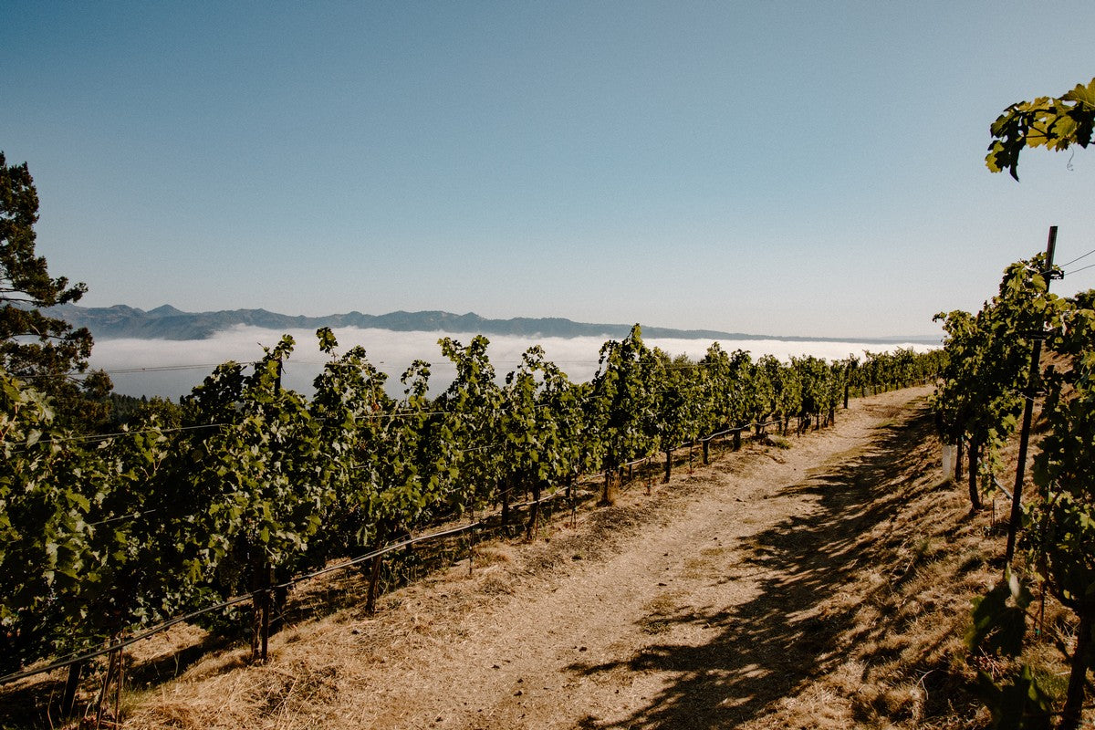 アメリカ ウォーターストーン・ワイナリー