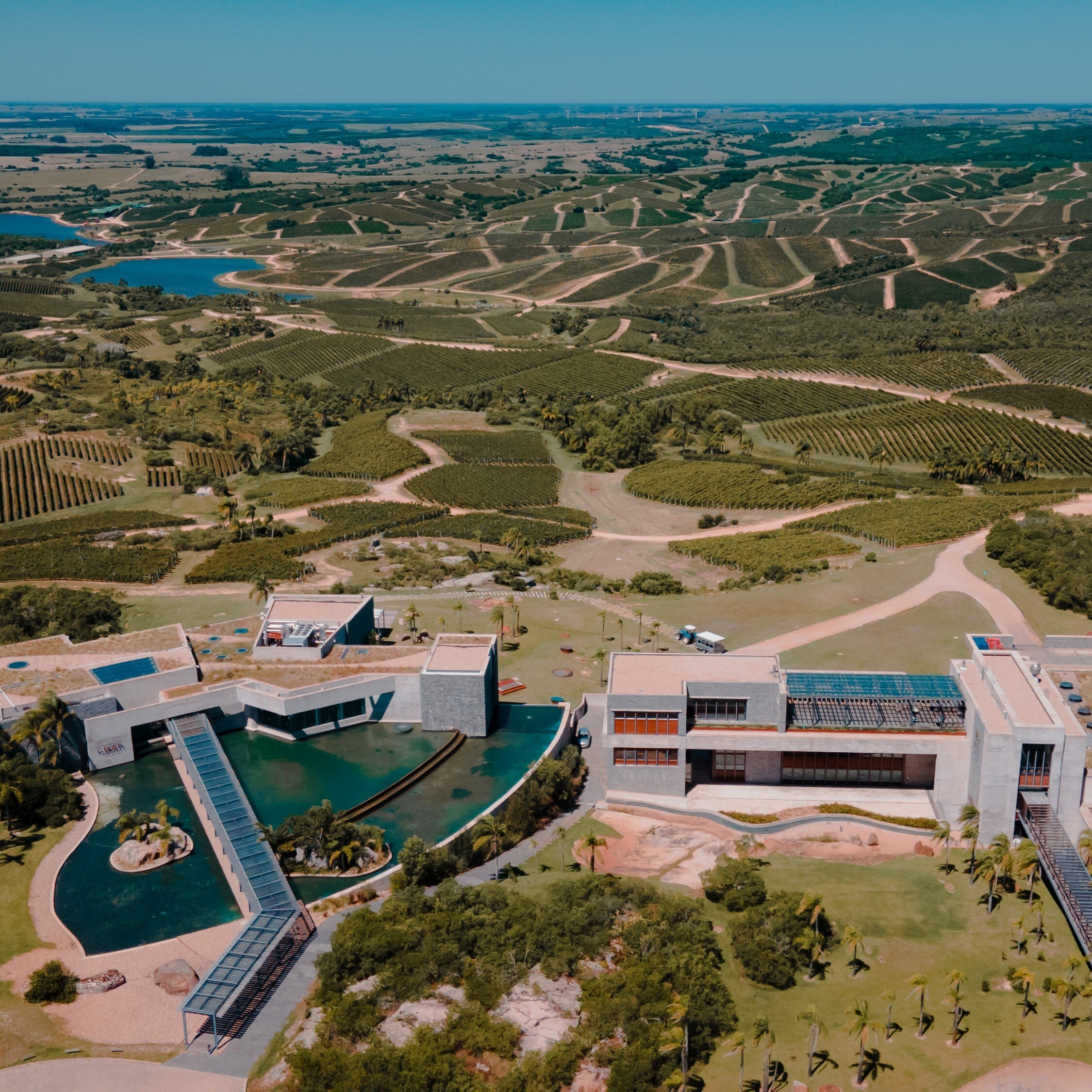 ウルグアイ ボデガ・ガルソン