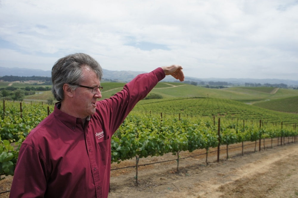 マホニー ヴェルメンティーノ カーネロス