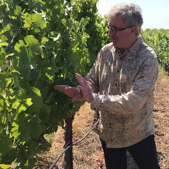アメリカ マホニー・ヴィンヤーズ