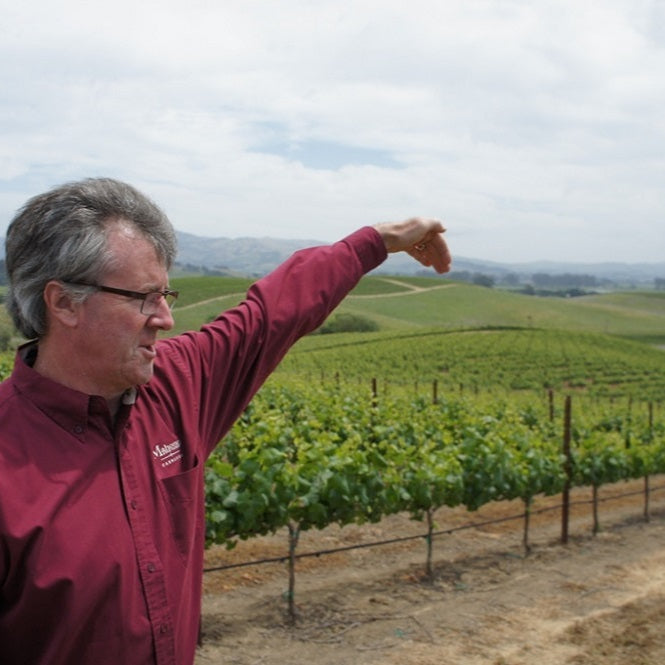 アメリカ マホニー・ヴィンヤーズ