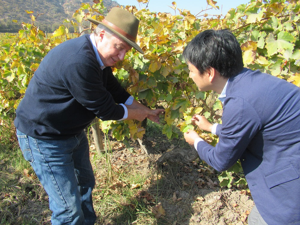 アルタム シラーズ