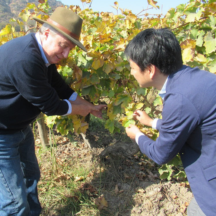 チリ テラ・マター