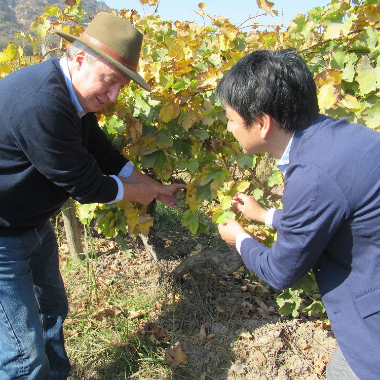 チリ テラ・マター