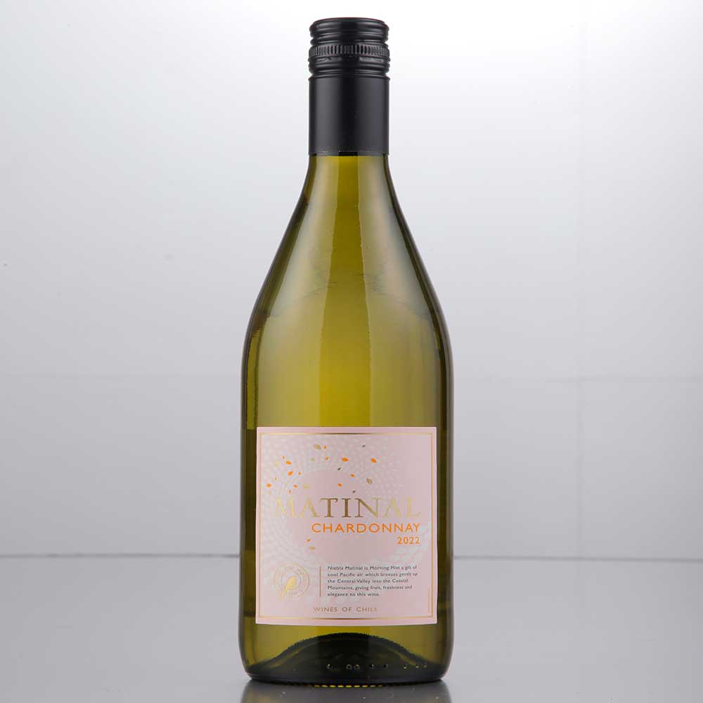 【WEB限定】バリューワインセット 白10本 第8弾