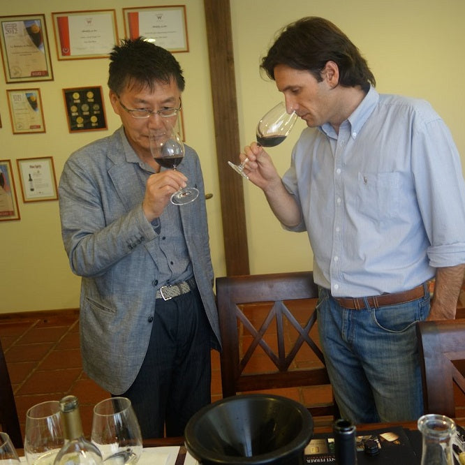 チリ プンティ・フェレール