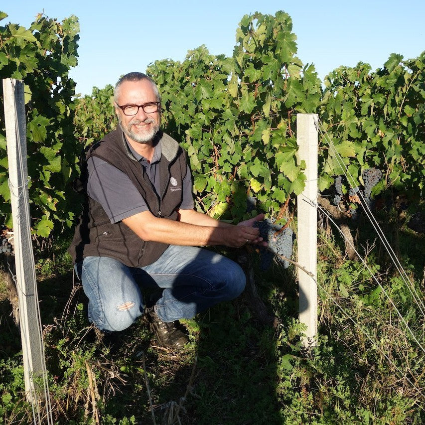 ユニメドック シンプリー・メドック