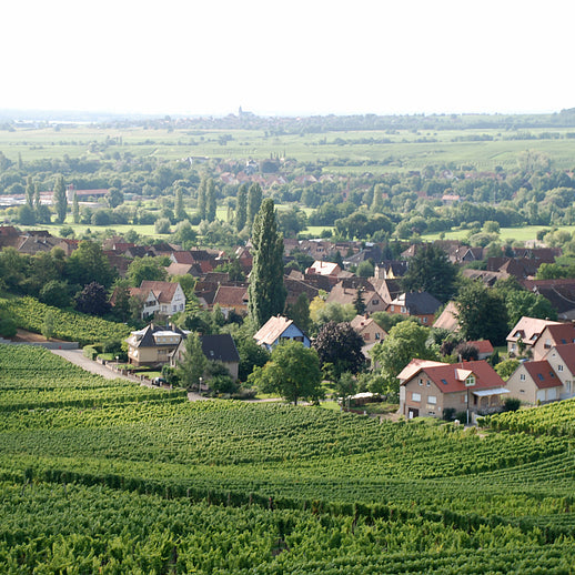 フランス ドメーヌ・エミール・ボエケル