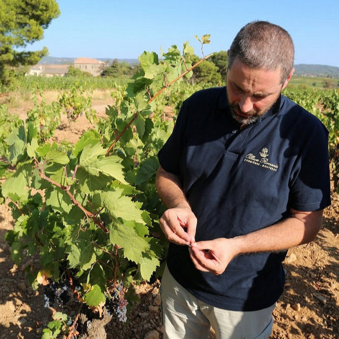 フランス シャトー・レゾリュー