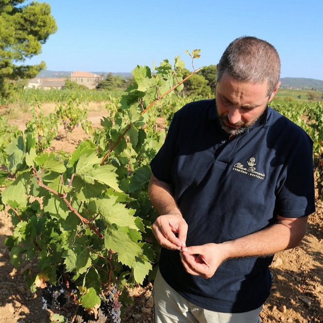 フランス シャトー・レゾリュー