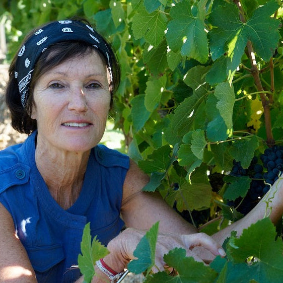 フランス ドメーヌ・ド・グールガゾー