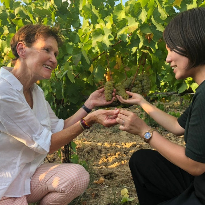 フランス ドメーヌ・ド・グールガゾー