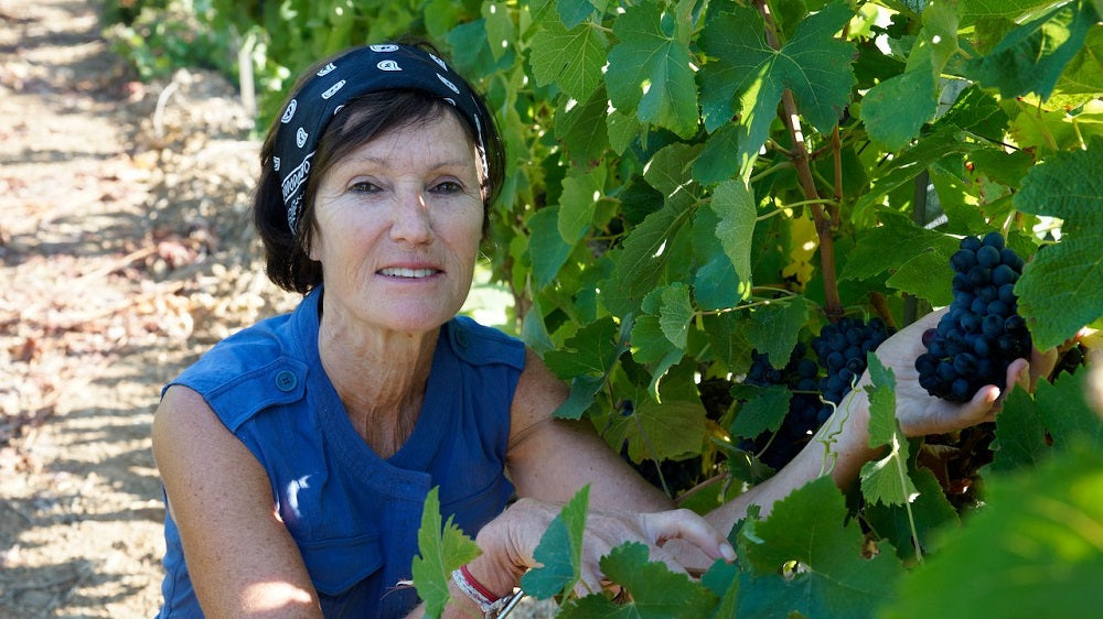 フランス ドメーヌ・ド・グールガゾー