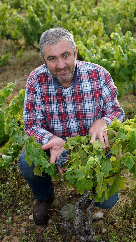 フランス ドメーヌ・デュ・ペール・ギヨ