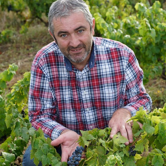 フランス ドメーヌ・デュ・ペール・ギヨ