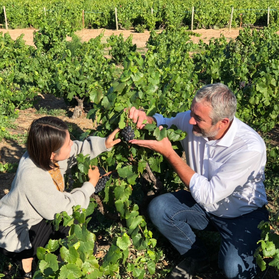 フランス ドメーヌ・デュ・ペール・ギヨ