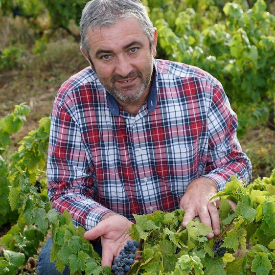 フランス ドメーヌ・デュ・ペール・ギヨ