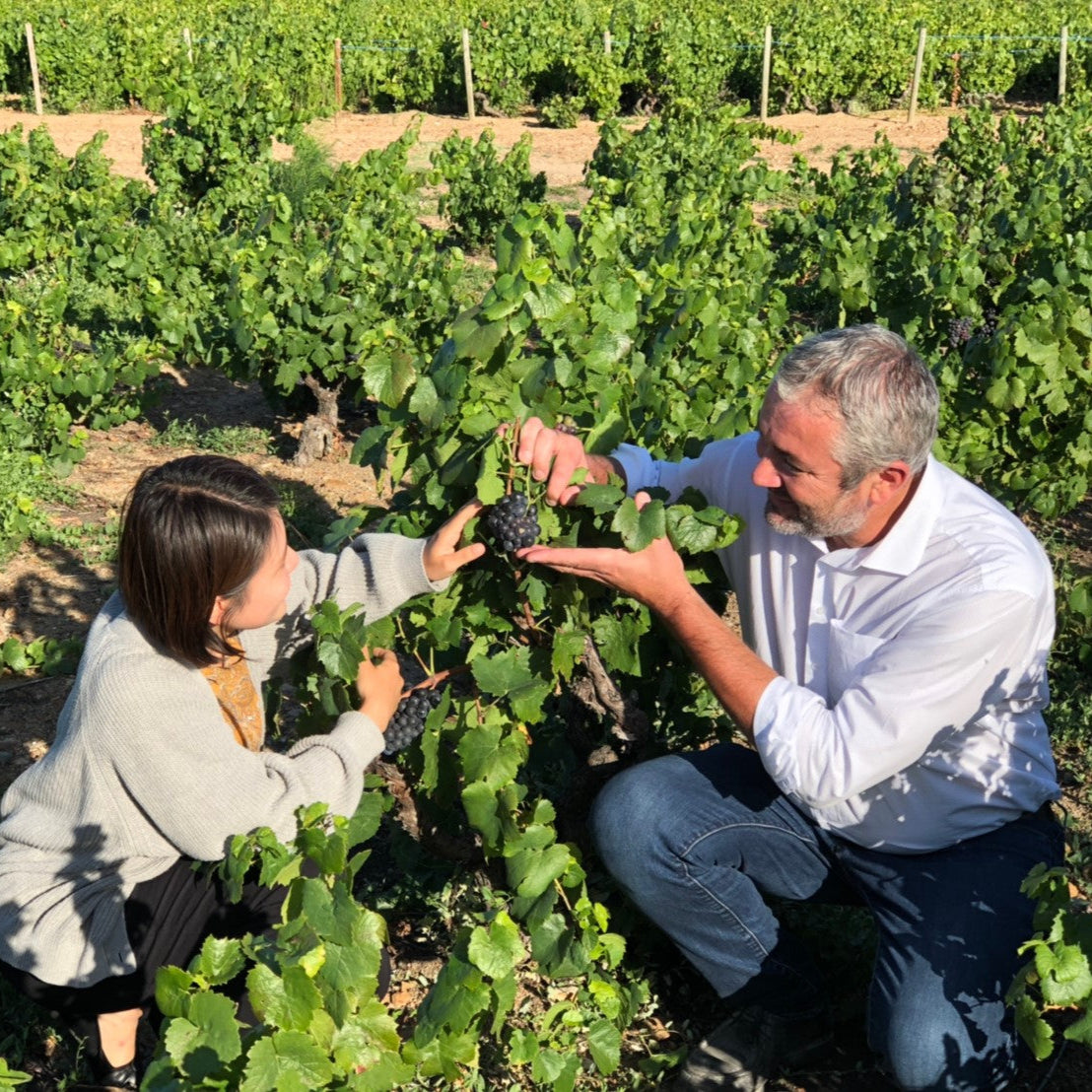 フランス ドメーヌ・デュ・ペール・ギヨ