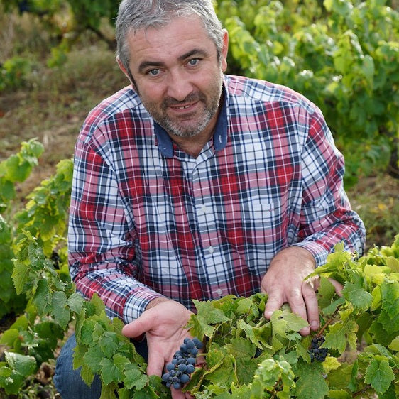 フランス ドメーヌ・デュ・ペール・ギヨ