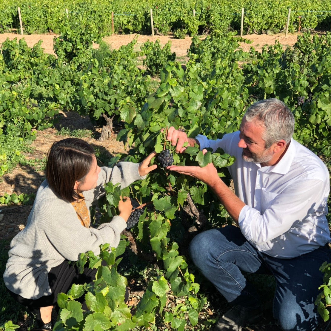 フランス ドメーヌ・デュ・ペール・ギヨ