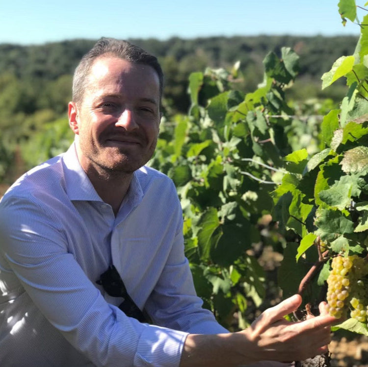 フランス メゾン・トラミエ