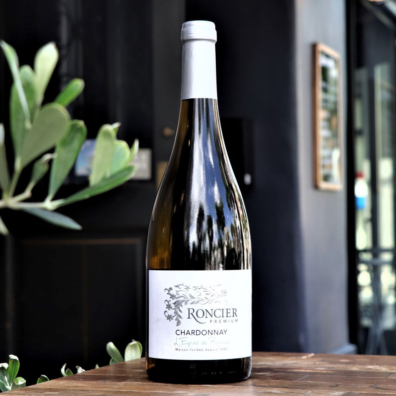 【WEB限定】きらめく冬の白ワインセット