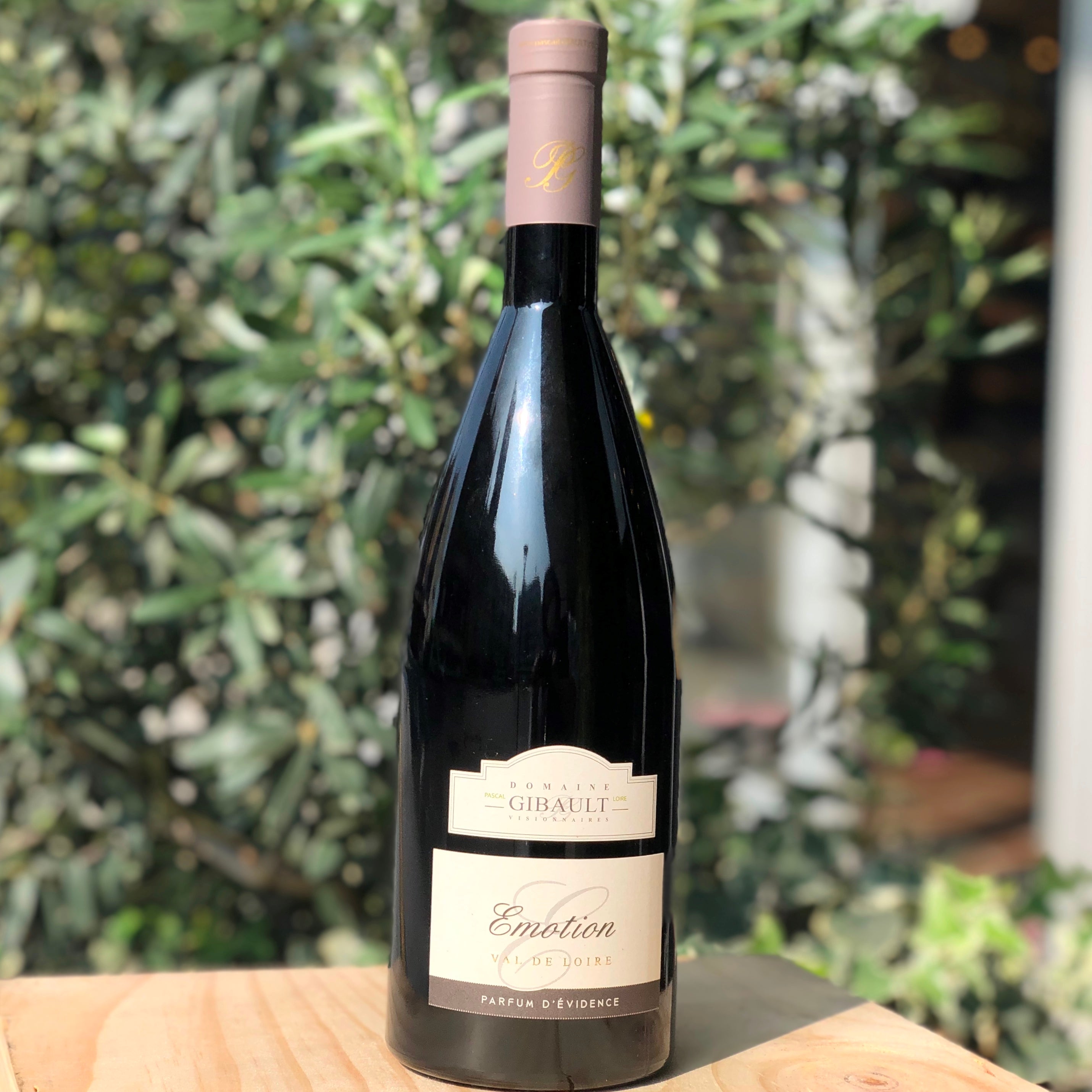 ドメーヌ・ジボー・エモーション 赤ワイン フランス ロワール地方