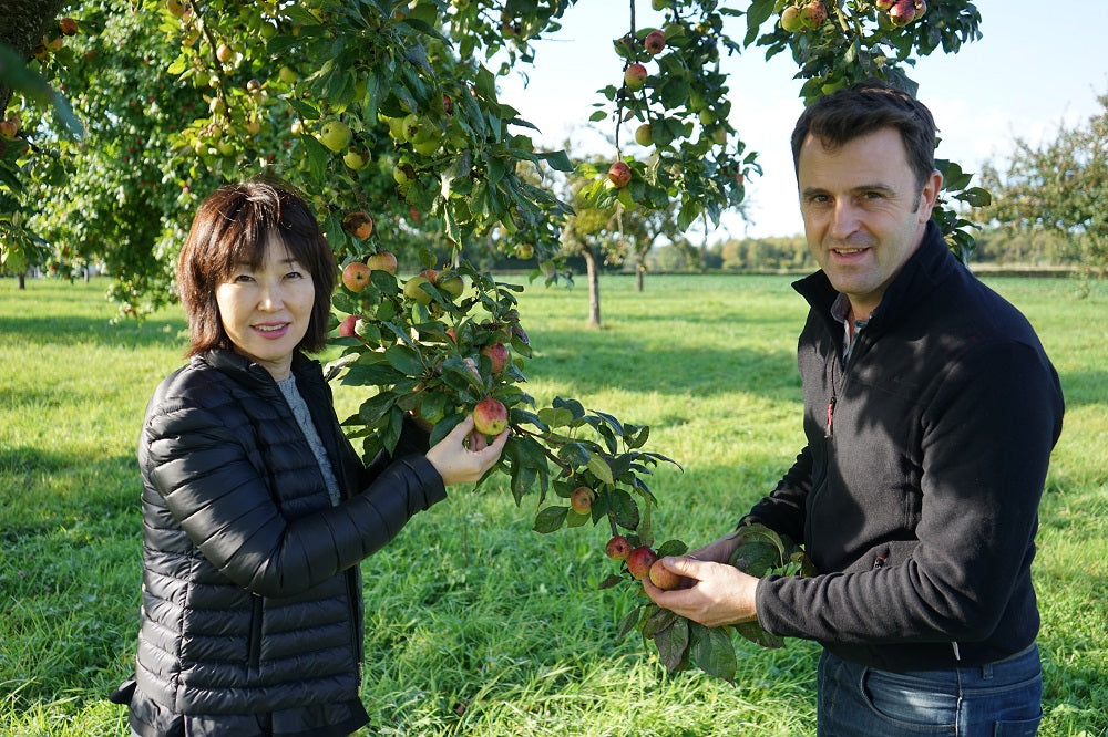 フランス フルニエ・フレール