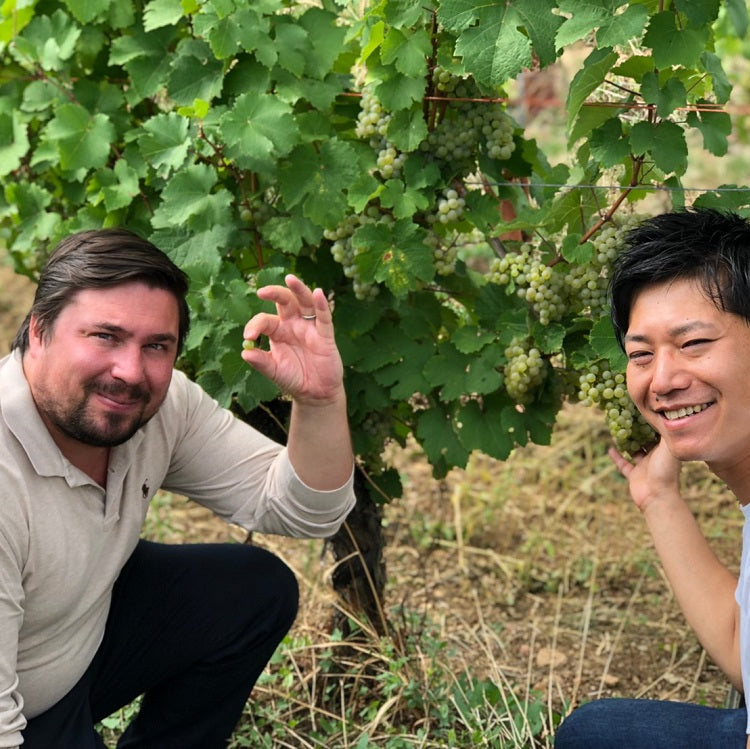 フランス ジョセフ・カタン