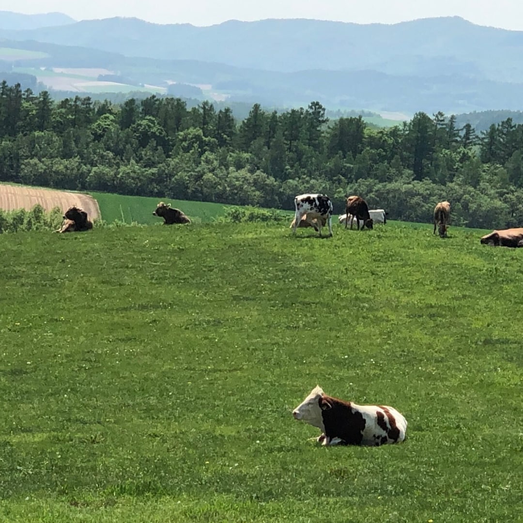 蔵直(R)日本チーズ「旨」(50g)【要クール便】