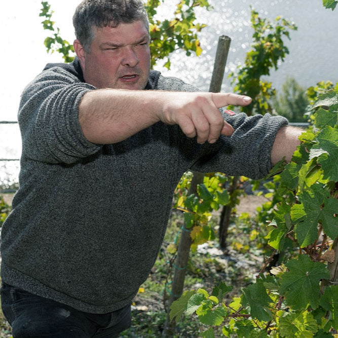 ドイツ ウィリ・ハッグ